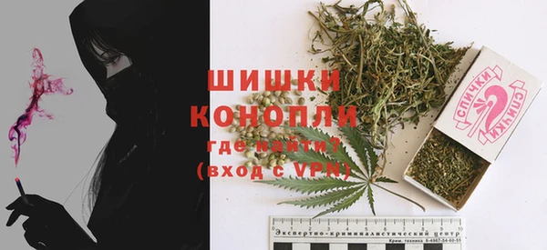 спайс Каменка