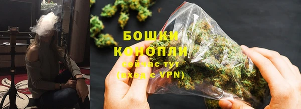 ПСИЛОЦИБИНОВЫЕ ГРИБЫ Каменногорск