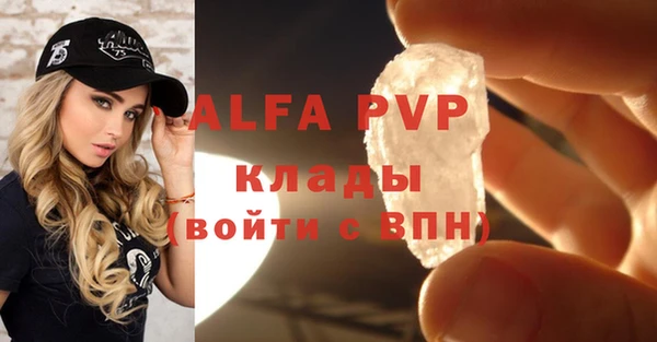 ПСИЛОЦИБИНОВЫЕ ГРИБЫ Каменногорск