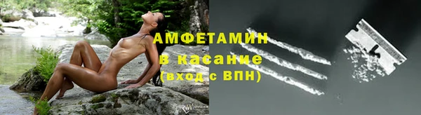ПСИЛОЦИБИНОВЫЕ ГРИБЫ Каменногорск