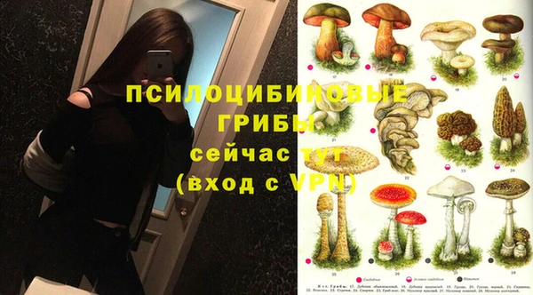 спайс Каменка