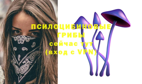 спайс Каменка