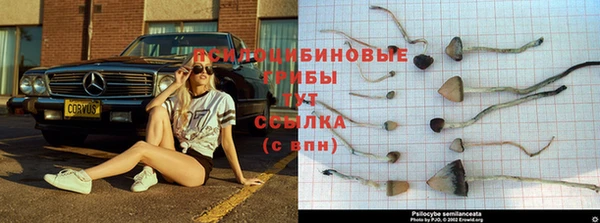 спайс Каменка