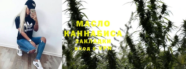 спайс Каменка