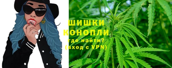 спайс Каменка