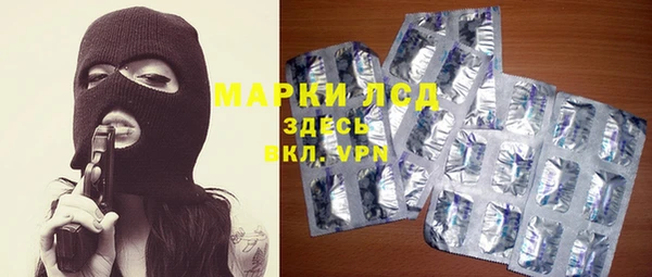 ПСИЛОЦИБИНОВЫЕ ГРИБЫ Каменногорск