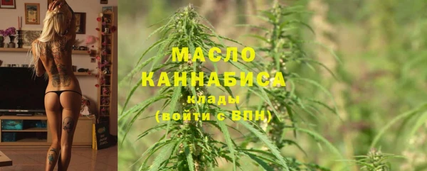 спайс Каменка