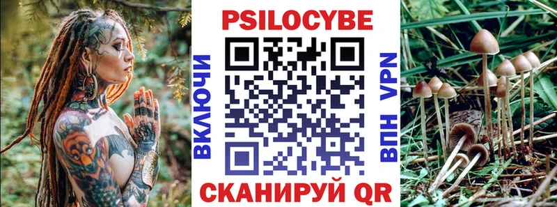 Купить  Жердевка  Псилоцибиновые грибы прущие грибы 
